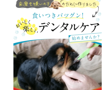 ワンちゃんの健康を守るデンタルケアBreath wan（ブレスワン）の評判、口コミは？