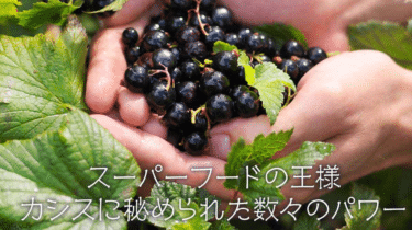 ニュージーランド産のカシスショップジャパンの評判、口コミは？