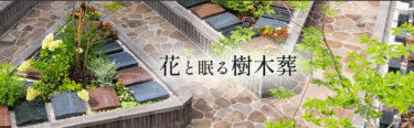 大切な方を亡くされた方に寄り添うアンカレッジの樹木葬の評判、口コミは？