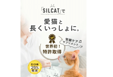 猫用サプリメントSILCAT(シルキャット)の評判、口コミは？