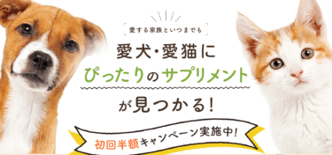 愛犬・愛猫にぴったりのサプリが見つかるウィズペティの評判、口コミは？
