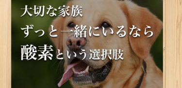 ペット用酸素室のO2チャージ（オーツーチャージ）の評判、口コミは？