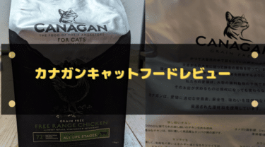 カナガンキャットフードを実際に試した正直な評価!安全性や口コミも