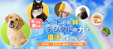 デジタルで永遠にメタでペット供養の評判、口コミは？