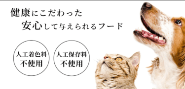 ロットプレミアドライフードの評判、口コミは？