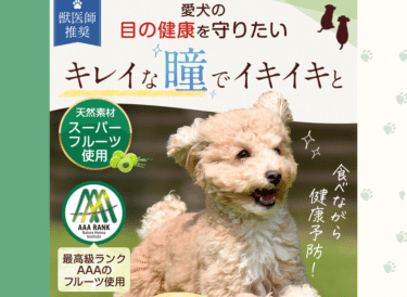 おやつで目の健康サポートWan！To seeの評判、口コミは？