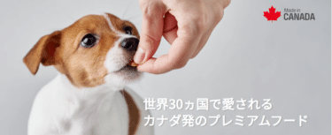 カナダ産ドッグフードのニュートラムの評判、口コミは？