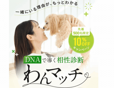 DNAで導く相性診断‘’わんマッチ‘’の評判、口コミは？