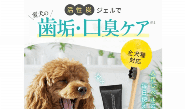 愛犬の歯垢・口臭ケア！デンタブラックの評判、口コミは？