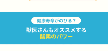 ペット用酸素室オーツーチャージの評判、口コミは？