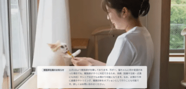 猫専用ペットホテルの空き確認ねこべやの評判、口コミは？